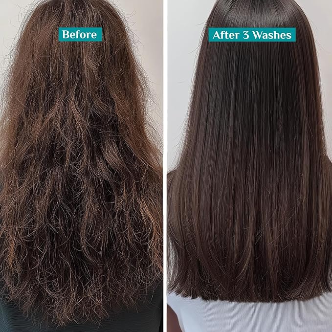 Pilgrim Korean Rice Water & Collagen Advanced Damage Repair Shampoo - 200ml | with 17 Amino Acids, Wheat Protein & 5 Ceramides | Paraben-Free | For Dry & Damaged Hair | For Women and Men