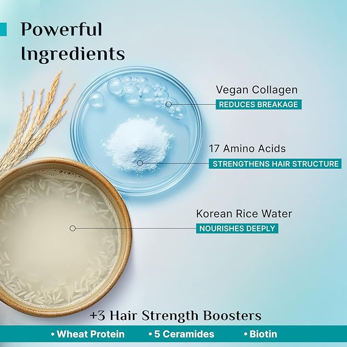 Pilgrim Korean Rice Water & Collagen Advanced Damage Repair Shampoo - 200ml | with 17 Amino Acids, Wheat Protein & 5 Ceramides | Paraben-Free | For Dry & Damaged Hair | For Women and Men